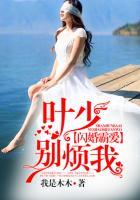 闪婚霸爱：叶少别烦我