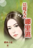 总裁大人哪里逃