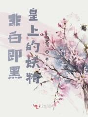 非白即黑:皇上的妖精