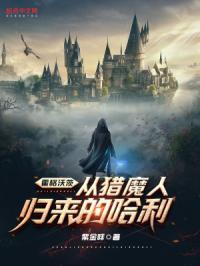 霍格沃茨:从猎魔人归来的哈利