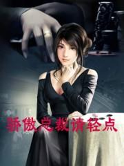 骄傲总裁请轻点