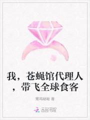 我，苍蝇馆代理人，带飞全球食客