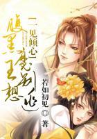 一见倾心:腹黑魔王别想逃