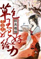 妖夫难休:草包王妃好给力