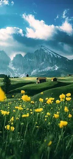 重生后,我获得了诺贝尔奖