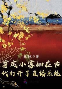 穿成小寡妇在古代打开了直播系统