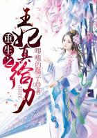重生之王妃真给力