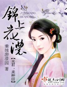 种田文锦上花浓