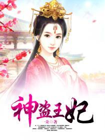 神盗王妃