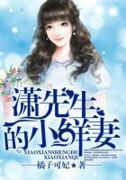 潇先生的小鲜妻
