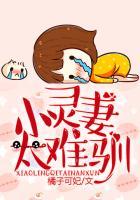 小灵妻太难驯