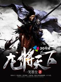 龙将天下