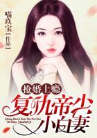 抢婚上瘾：复仇帝少小白妻